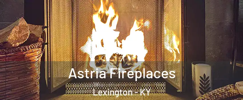  Astria Fireplaces Lexington - KY