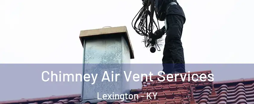  Chimney Air Vent Services Lexington - KY