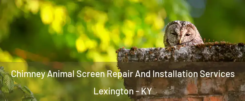  Chimney Animal Screen Repair And Installation Services Lexington - KY