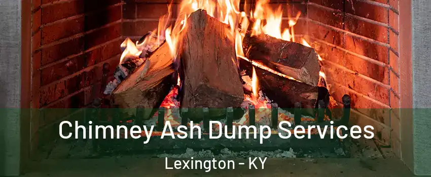  Chimney Ash Dump Services Lexington - KY