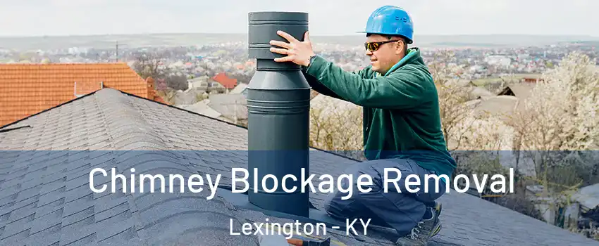  Chimney Blockage Removal Lexington - KY
