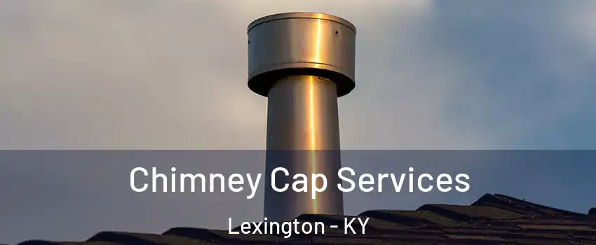  Chimney Cap Services Lexington - KY