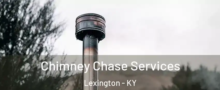  Chimney Chase Services Lexington - KY