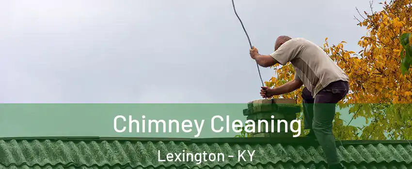  Chimney Cleaning Lexington - KY