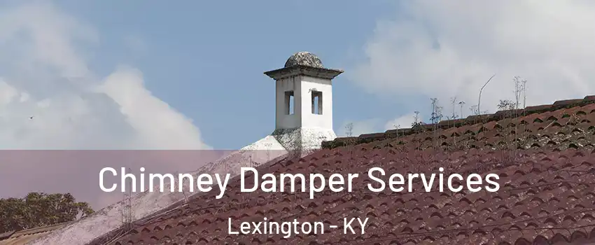 Chimney Damper Services Lexington - KY