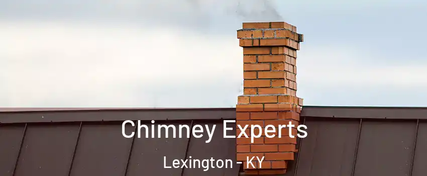  Chimney Experts Lexington - KY