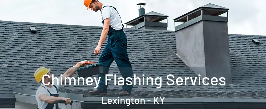  Chimney Flashing Services Lexington - KY