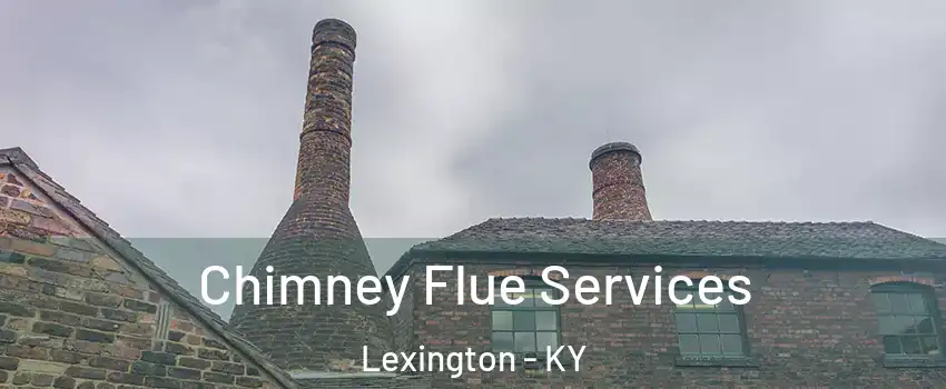  Chimney Flue Services Lexington - KY