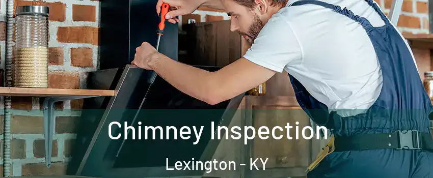  Chimney Inspection Lexington - KY