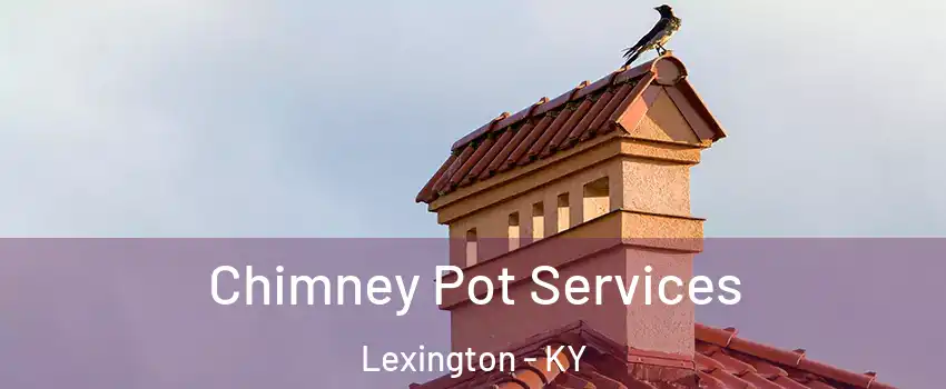 Chimney Pot Services Lexington - KY