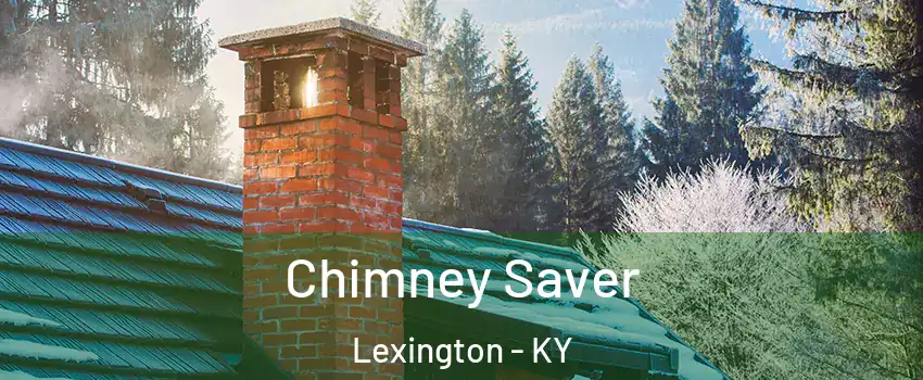  Chimney Saver Lexington - KY