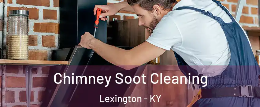  Chimney Soot Cleaning Lexington - KY