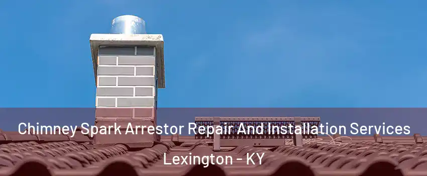  Chimney Spark Arrestor Repair And Installation Services Lexington - KY