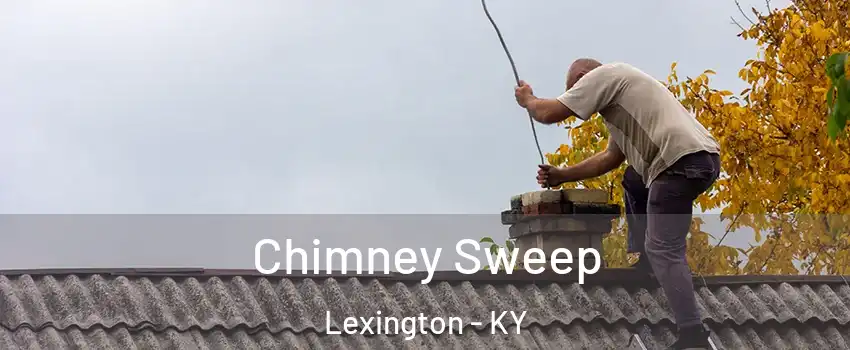  Chimney Sweep Lexington - KY
