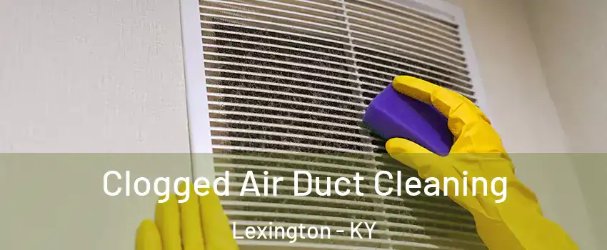  Clogged Air Duct Cleaning Lexington - KY