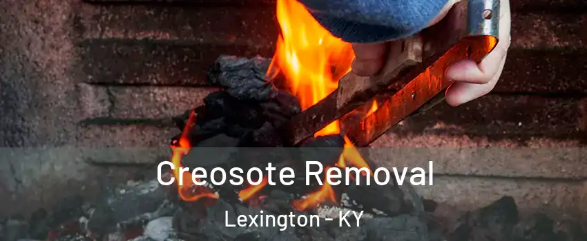  Creosote Removal Lexington - KY