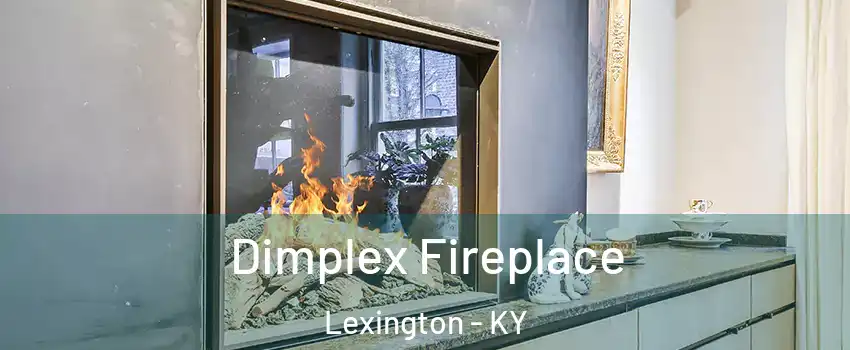  Dimplex Fireplace Lexington - KY