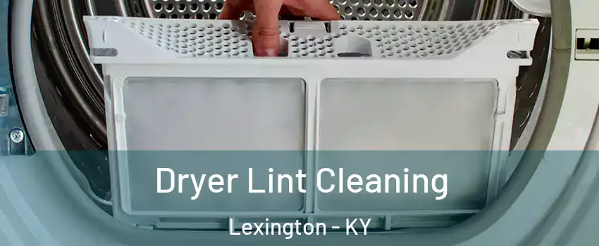  Dryer Lint Cleaning Lexington - KY