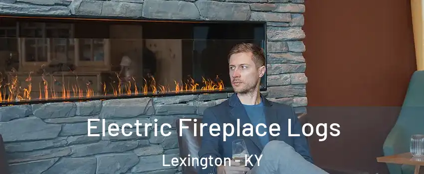  Electric Fireplace Logs Lexington - KY