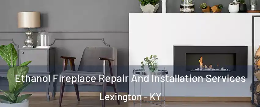  Ethanol Fireplace Repair And Installation Services Lexington - KY