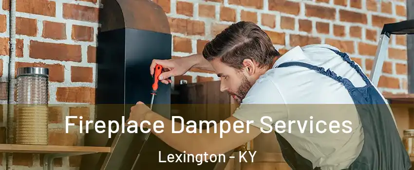  Fireplace Damper Services Lexington - KY