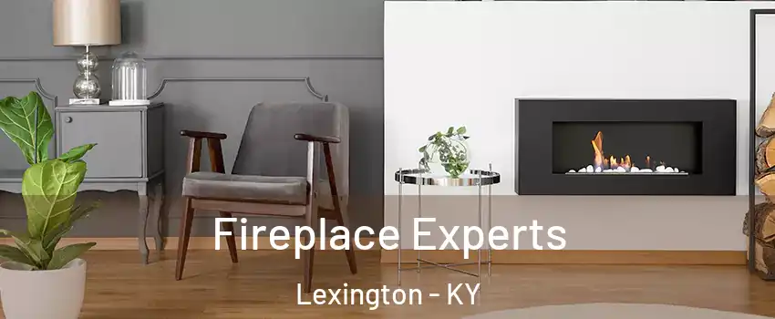  Fireplace Experts Lexington - KY