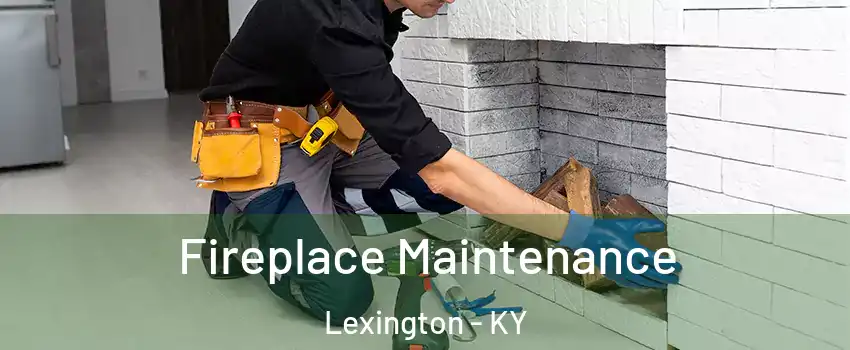  Fireplace Maintenance Lexington - KY