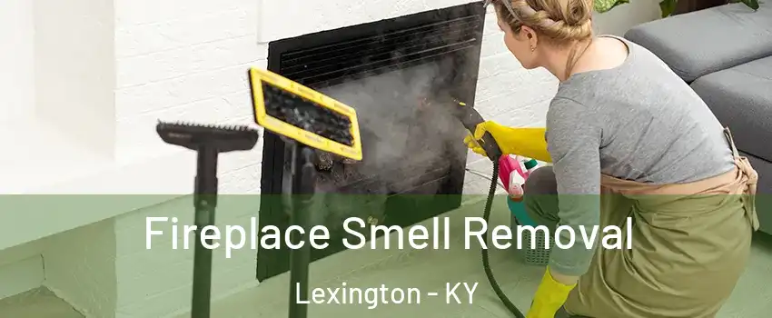  Fireplace Smell Removal Lexington - KY