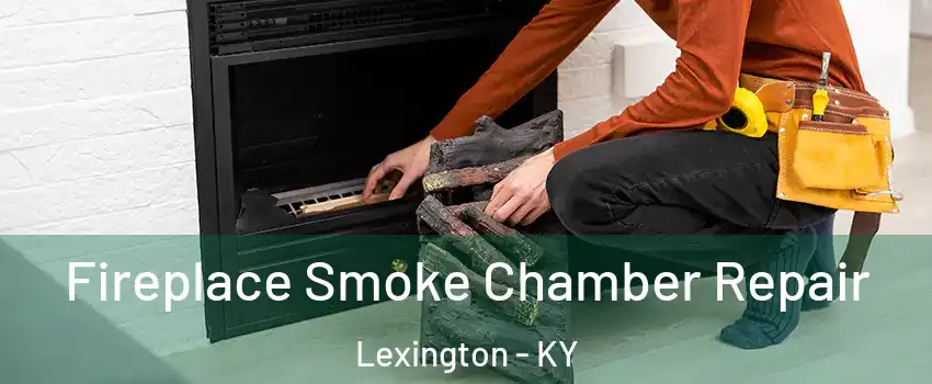  Fireplace Smoke Chamber Repair Lexington - KY