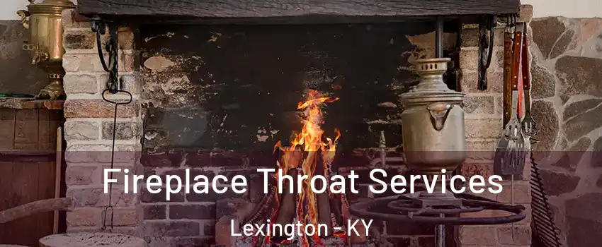  Fireplace Throat Services Lexington - KY