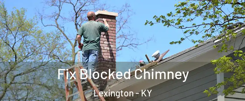  Fix Blocked Chimney Lexington - KY