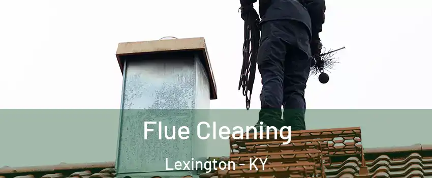  Flue Cleaning Lexington - KY