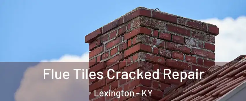 Flue Tiles Cracked Repair Lexington - KY