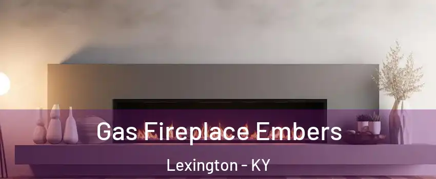  Gas Fireplace Embers Lexington - KY