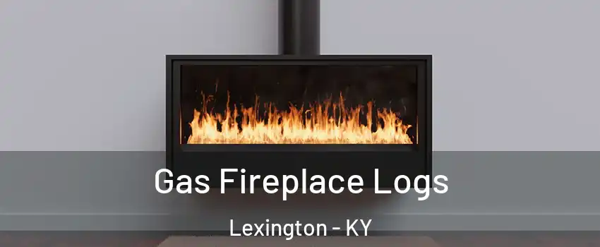  Gas Fireplace Logs Lexington - KY