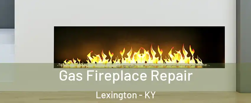  Gas Fireplace Repair Lexington - KY