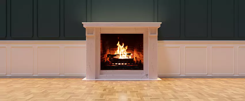 Napoleon Electric Fireplaces Inspection Service in Lexington, Kentucky
