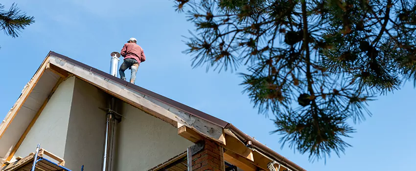 Birds Removal Contractors from Chimney in Lexington, KY