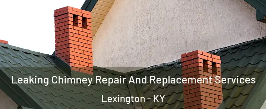  Leaking Chimney Repair And Replacement Services Lexington - KY