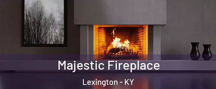  Majestic Fireplace Lexington - KY