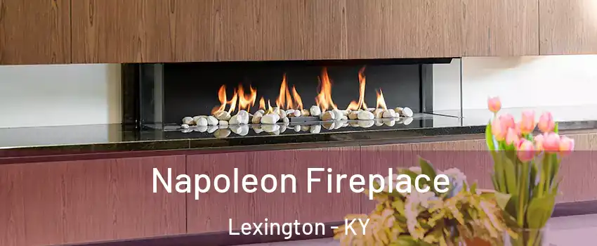  Napoleon Fireplace Lexington - KY