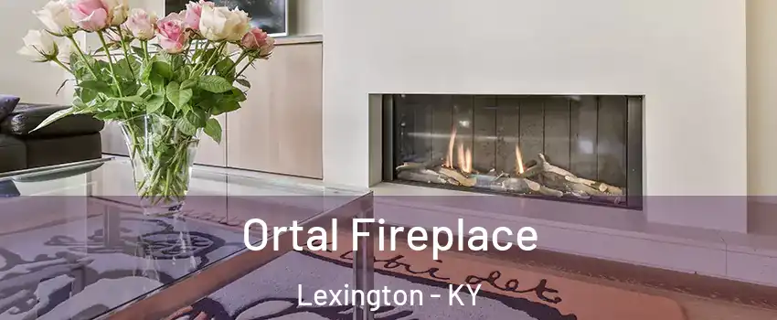  Ortal Fireplace Lexington - KY