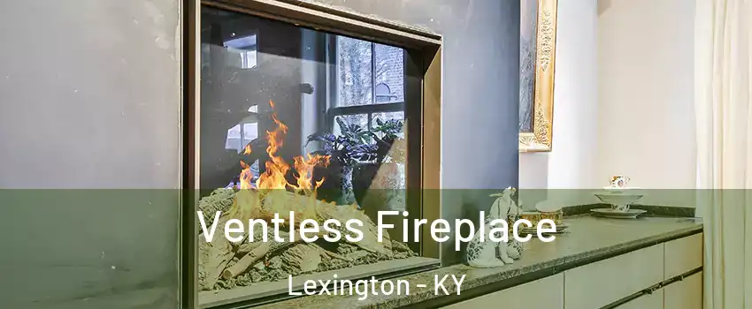  Ventless Fireplace Lexington - KY